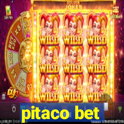 pitaco bet